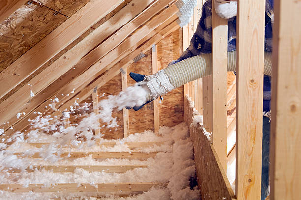 Best Attic Insulation Installation in Bayshore Gardens, FL