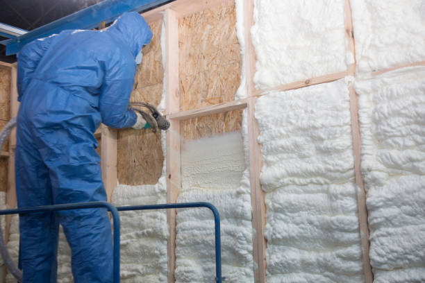 Best Garage Insulation in Bayshore Gardens, FL